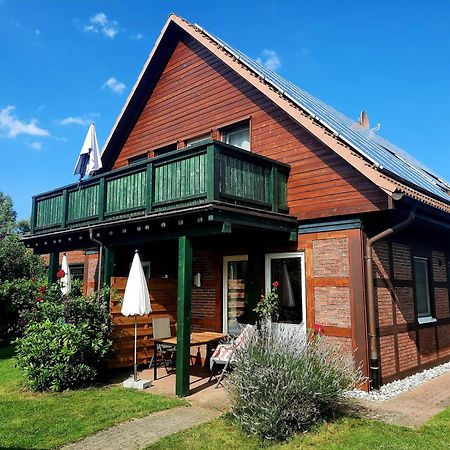 Ferienhaus Sasse Ferienwohnungen Mit Garten & Grill Molschow Kültér fotó