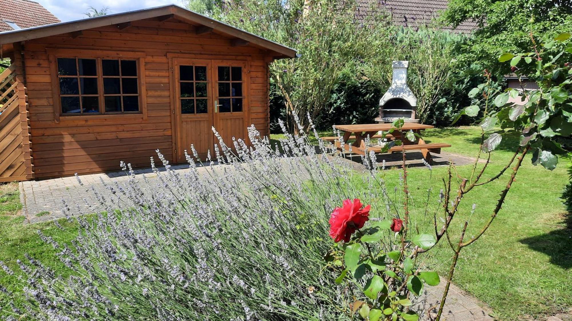 Ferienhaus Sasse Ferienwohnungen Mit Garten & Grill Molschow Kültér fotó